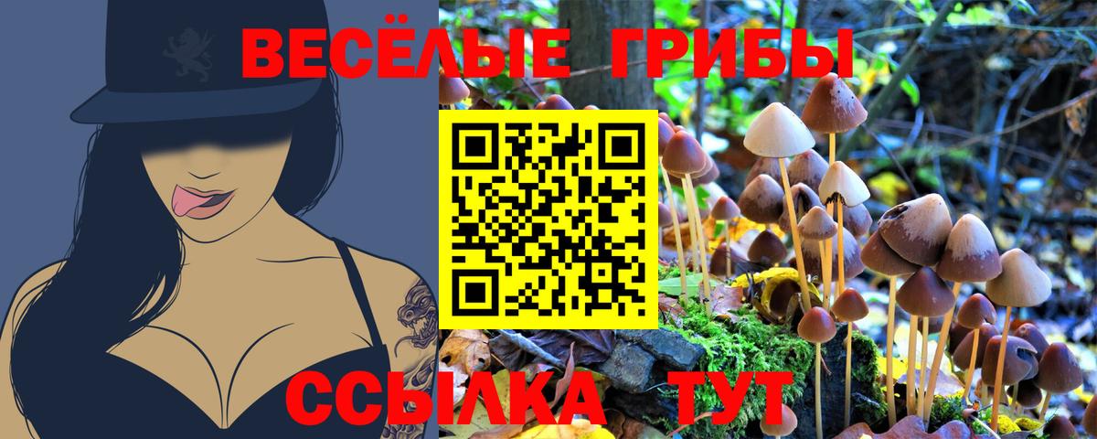 Галлюциногенные грибы Psilocybe  Вход с VPN  Фролово 