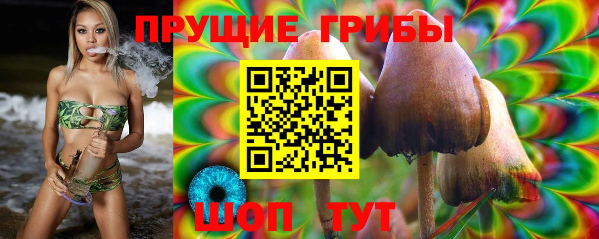 Псилоцибиновые грибы прущие грибы Фролово